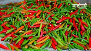 खुर्सानी हरियो(माछे) / प्रति के.जी