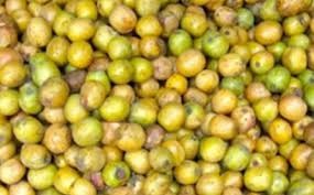 लप्सी / प्रति के.जी