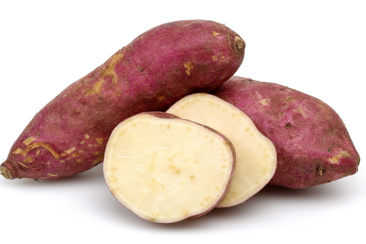 सखरखण्ड / प्रति के.जी