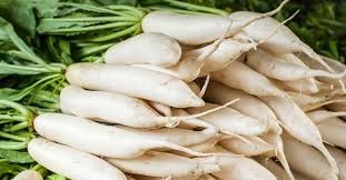 मूला  (सेतो) / प्रति के.जी