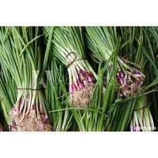 छ्यापी हरियो / प्रति के.जी