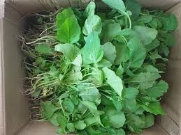 तोरीको साग / प्रति के.जी