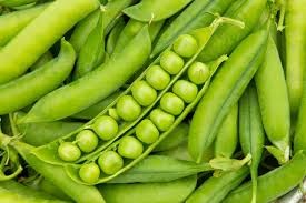 मटरकोशा / प्रति के.जी