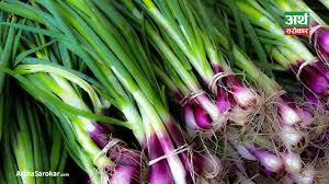 प्याज हरियो / प्रति के.जी